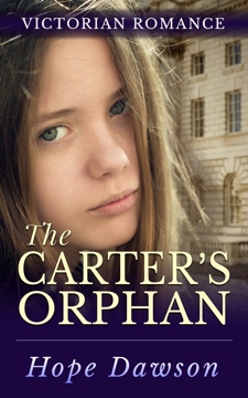 The Carter's Orphan - Book Cover